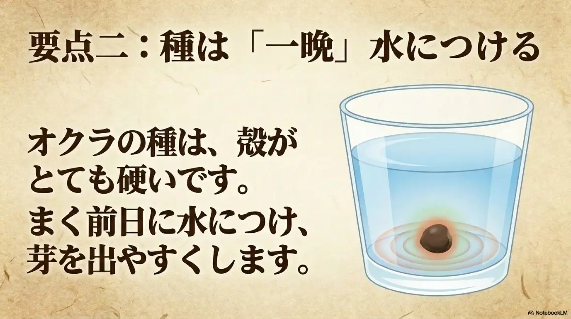 要点二：種は一晩水につける。殻が硬いため前日に水につけ芽を出やすくする