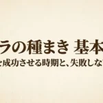 オクラの種まき基本のき 発芽を成功させる時期と失敗しないコツ