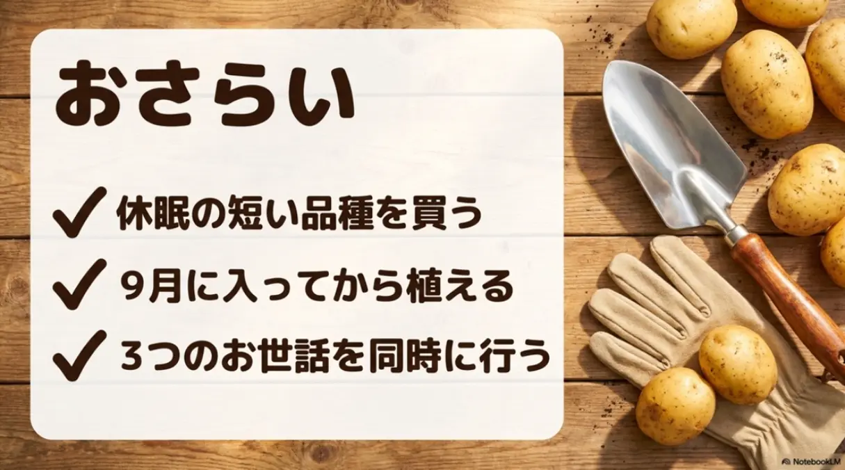 品種選び、植え付け時期、3つのお世話に関する秋ジャガイモ栽培のおさらい