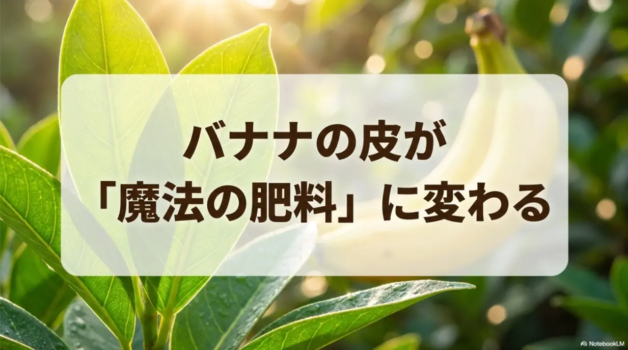 生ゴミとして捨てるバナナの皮が植物を育てる魔法の肥料に変わる