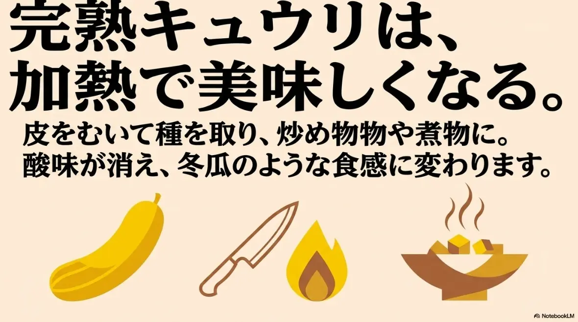 完熟キュウリは加熱で美味しくなることを説明するテキスト