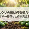 キュウリの後作におすすめの野菜と土作りの完全案内を示すタイトルスライド