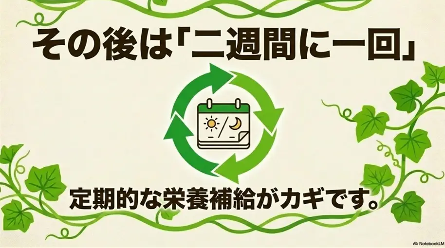 2週間に1回の頻度で追肥を行うことを示すカレンダー図