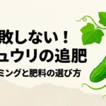 キュウリの追肥タイミングと肥料の選び方を紹介するスライドの表紙
