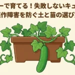 プランターで育てる失敗しないキュウリ栽培。連作障害を防ぐ土と苗の選び方