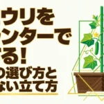 キュウリをプランターで育てる！支柱の選び方と倒れない立て方