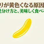キュウリが黄色くなる原因と対策のタイトル画像