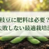 枝豆に肥料は必要？失敗しない最適栽培法の表紙スライド