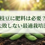 枝豆に肥料は必要？失敗しない最適栽培法の表紙スライド