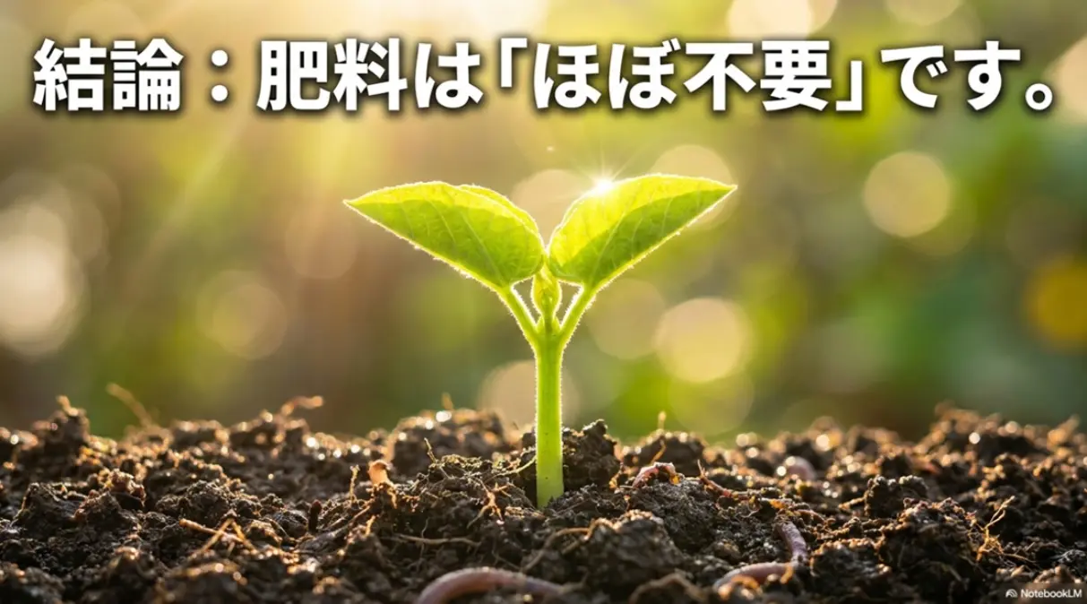 結論として枝豆の肥料はほぼ不要であることを示すスライド