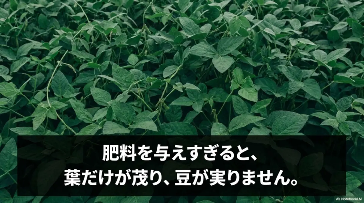 肥料を与えすぎると葉だけが茂り豆が実らないつるぼけの注意喚起スライド