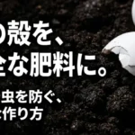 卵の殻を安全な肥料に。カビや虫を防ぐ、簡単な作り方
