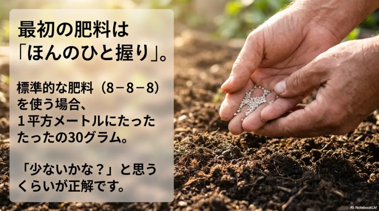 落花生の元肥の適量を示すスライド