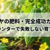 ゴーヤの肥料・完全成功ガイド プランターで失敗しない育て方