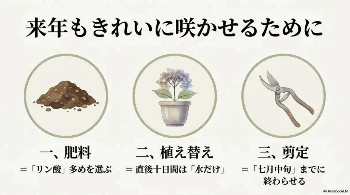 来年もきれいに咲かせるために。肥料はリン酸多め、植え替え直後は水だけ、剪定は七月中旬までに