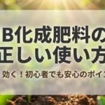 IB化成肥料の正しい使い方 長く効く！初心者でも安心のポイント