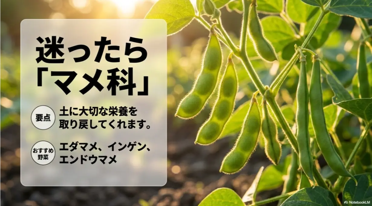 土に大切な栄養を取り戻してくれる、エダマメやインゲンなどマメ科野菜のおすすめ