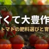 甘くて大豊作！ミニトマトの肥料選びと育て方