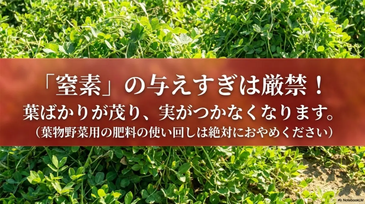 落花生栽培における窒素肥料の過剰施与を注意喚起するスライド