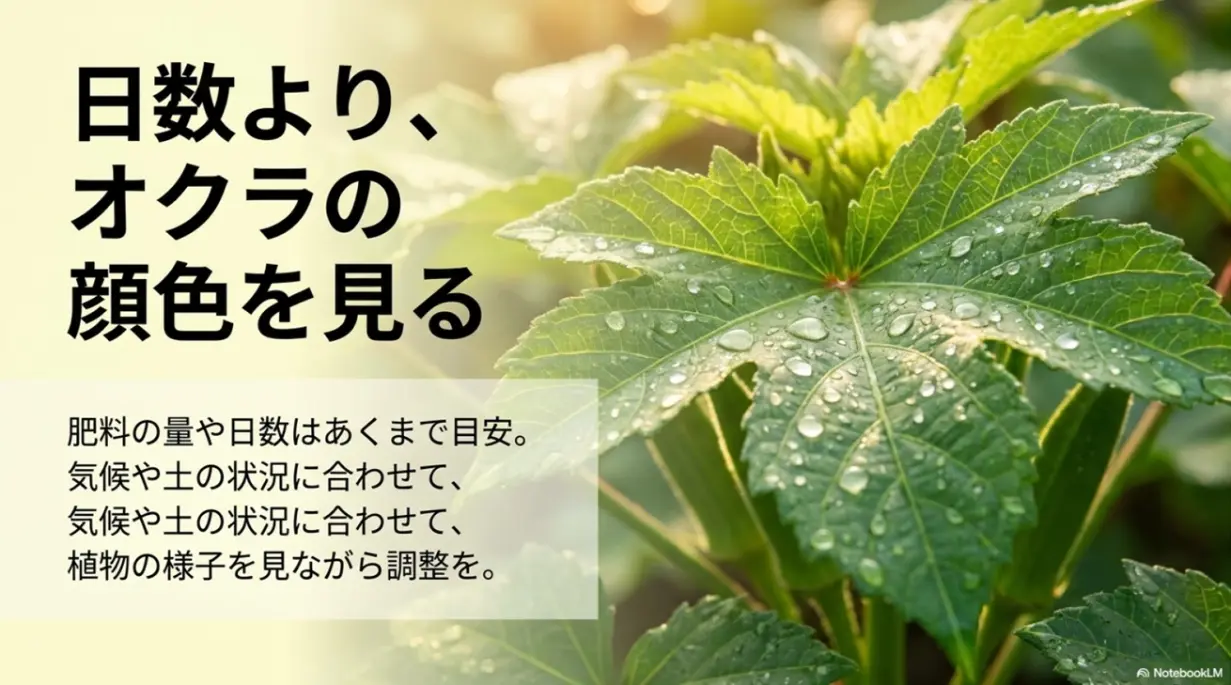 肥料の量や日数は目安であり、気候や土の状況に合わせて植物の様子を見ながら調整することが大切だという説明。