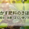 油かす肥料の基本と成分・効果・正しい使い方