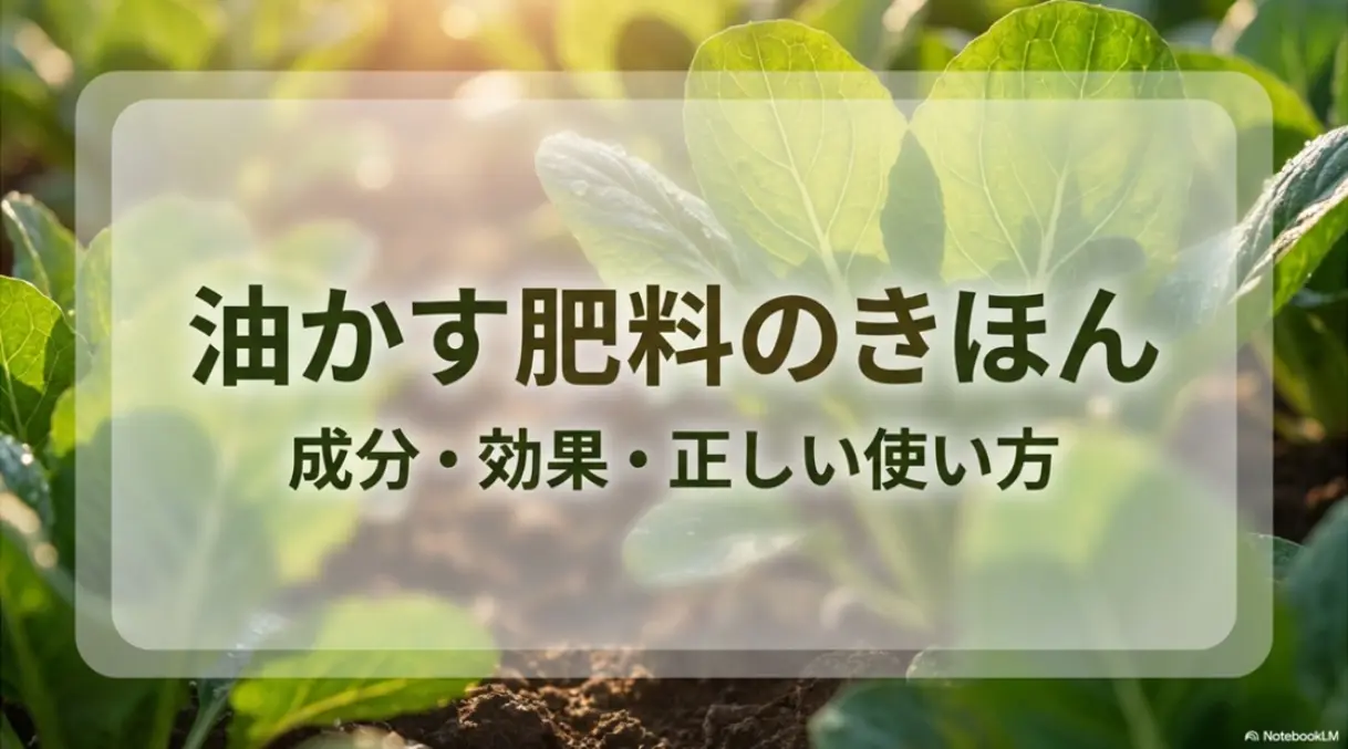 油かす肥料の基本と成分・効果・正しい使い方