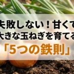 失敗しない！甘くて大きな玉ねぎを育てる「5つの鉄則」と書かれた表紙スライド