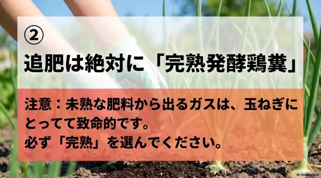 鉄則2。追肥は絶対に「完熟発酵鶏糞」。未熟な肥料から出るガスは玉ねぎにとって致命的であるため、必ず完熟を選ぶよう注意を促すスライド
