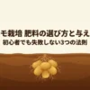 初心者でも失敗しないジャガイモ栽培肥料の選び方と与え方のコツ3つの法則