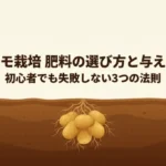 初心者でも失敗しないジャガイモ栽培肥料の選び方と与え方のコツ3つの法則