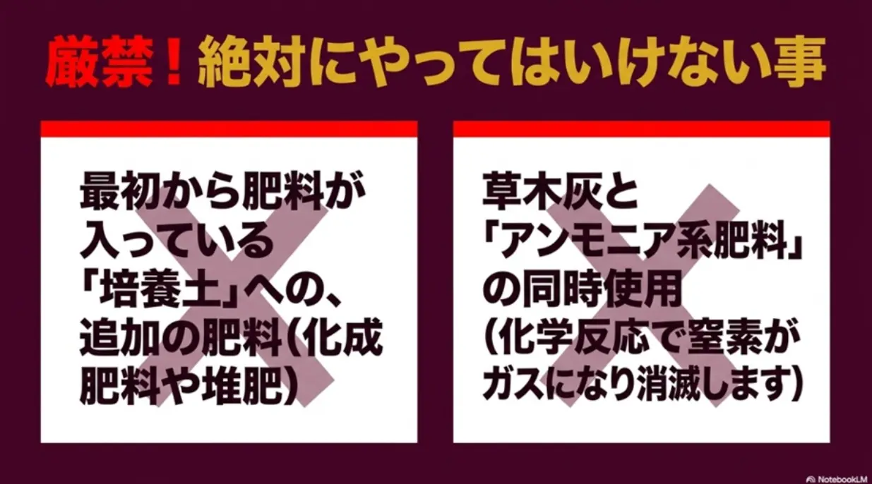 サツマイモ栽培でやってはいけない事リスト