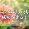 ジニアの切り戻しを成功させる！