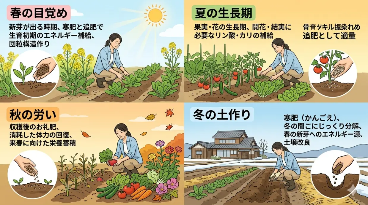 穏やかな春の光が差し込む菜園で、青々と育つ苗の状態を確認しながら優しく土を整える若い日本人の男性