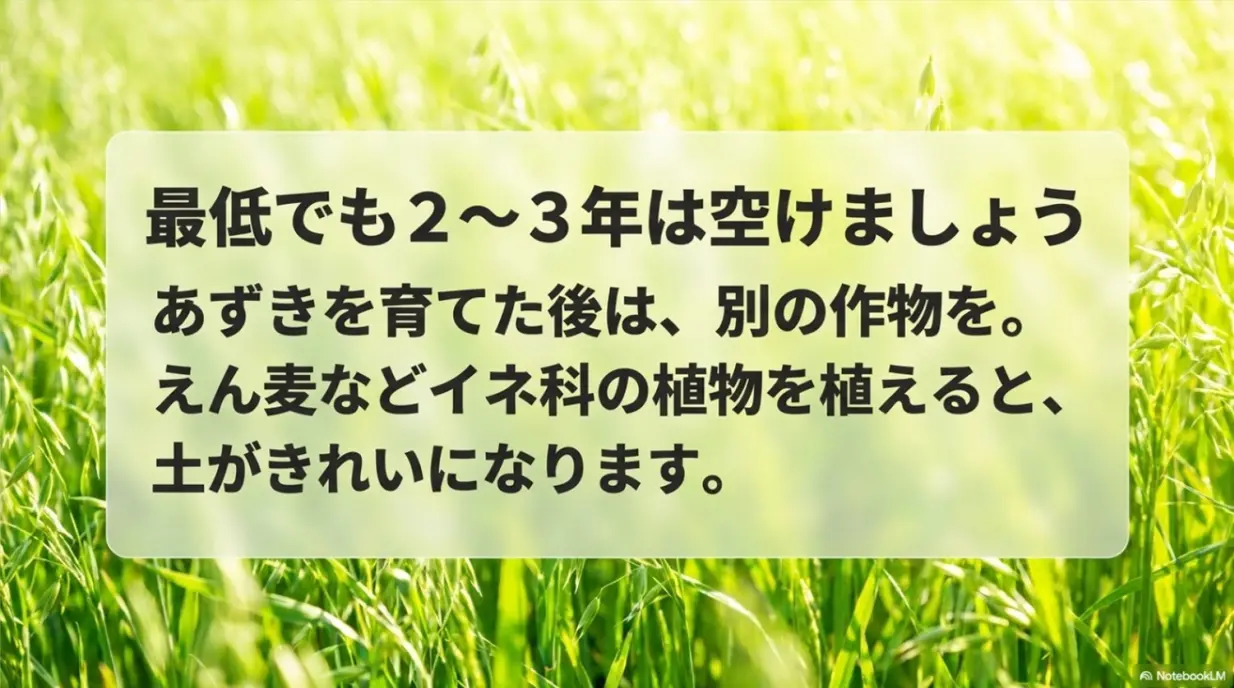 あずき栽培後は2〜3年空け、えん麦などの緑肥植物を植えて土壌改良する