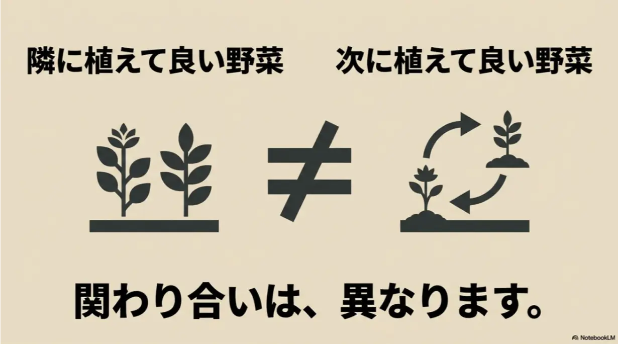 隣に植えて良いコンパニオンプランツと、次に植えて良い後作野菜の相性の違い