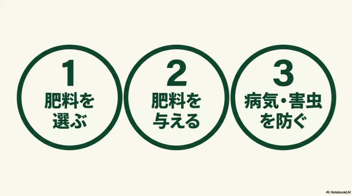 シクラメンを育てるための3ステップ(1.肥料を選ぶ、2.肥料を与える、3.病気・害虫を防ぐ)