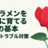 シクラメンを元気に育てる3つの基本である肥料とトラブル対策について解説したスライド表紙