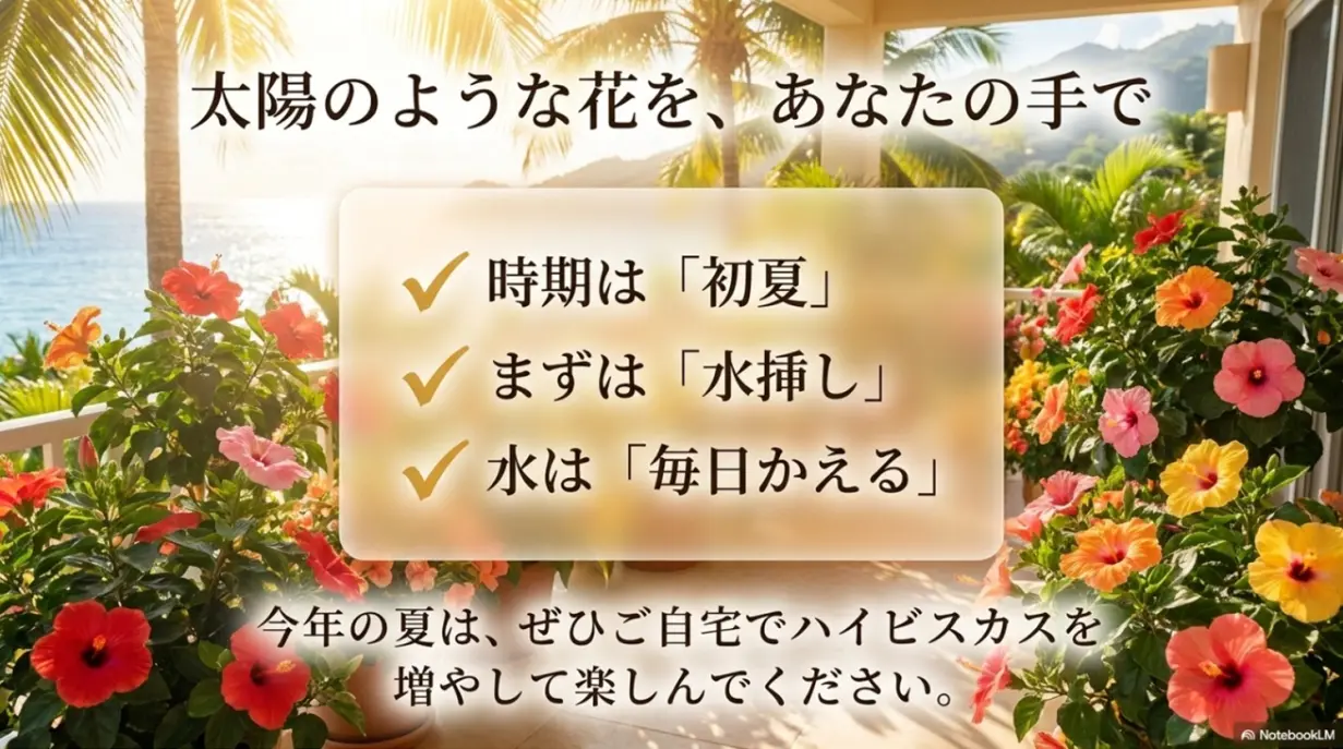 ハイビスカスの挿し木のおさらい。時期は初夏、まずは水挿しで水は毎日かえる