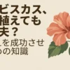 ハイビスカスを庭に植えても大丈夫？地植えを成功させるための知識と書かれた表紙スライド
