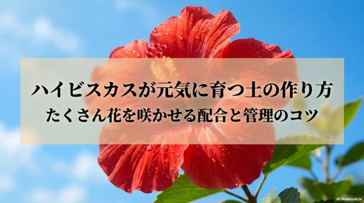 ハイビスカスが元気に育つ土の作り方