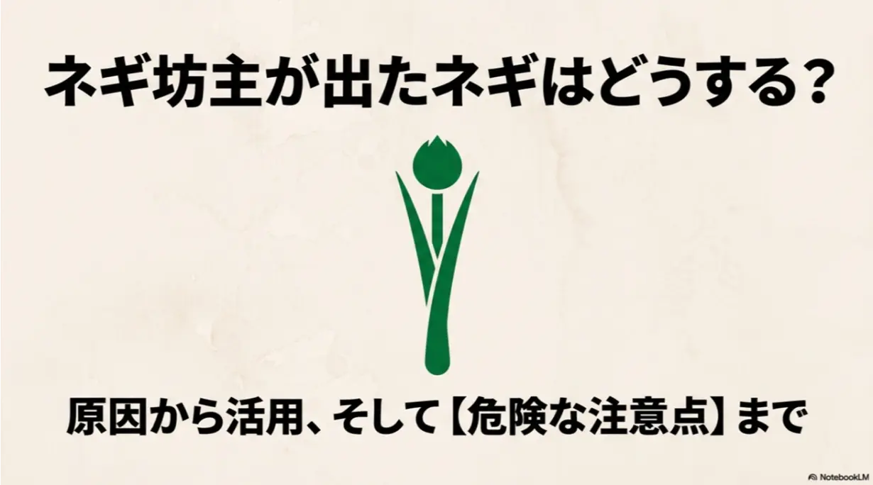 ネギ坊主が出たネギはどうする？原因から活用、そして危険な注意点まで
