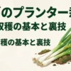 ネギのプランター栽培 無限収穫の基本と裏技のタイトルロゴ