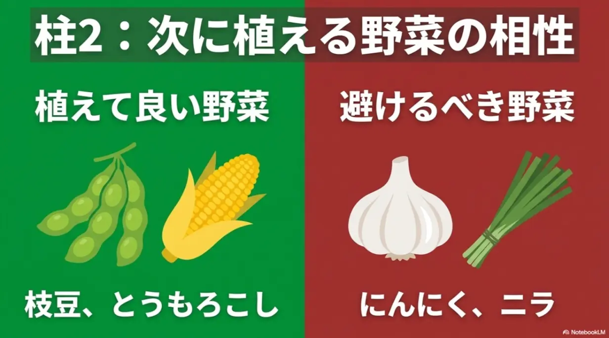 ネギの次に植える野菜の相性として、植えて良い野菜と避けるべき野菜の例