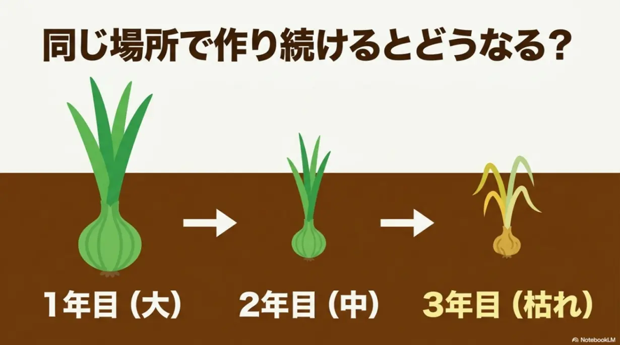 ネギを同じ場所で作り続けると年々生育が悪くなり3年目で枯れてしまうイラスト