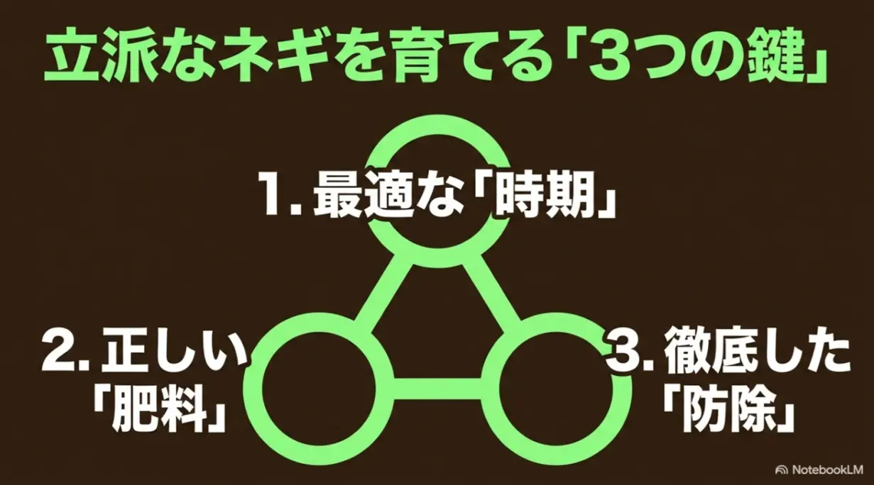 立派なネギを育てる3つの鍵は最適な時期、正しい肥料、徹底した防除