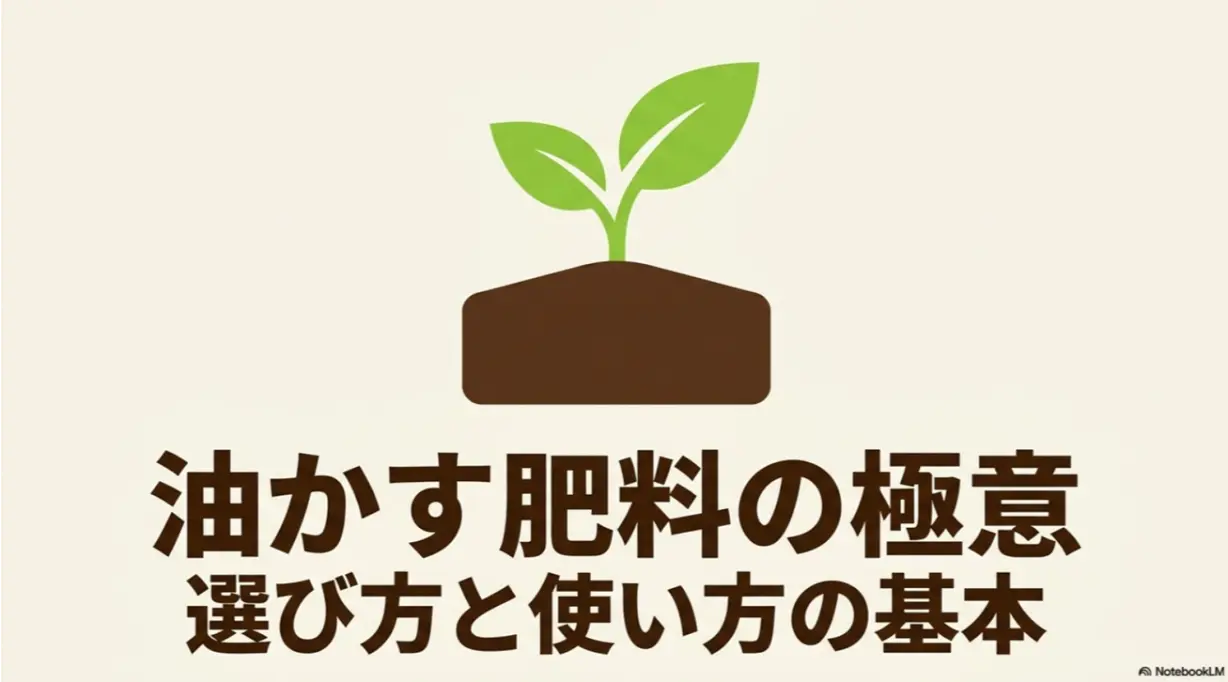 油かす肥料の極意：選び方と使い方の基本