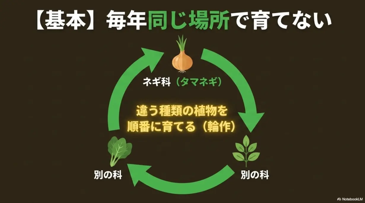 連作障害を防ぐため、ネギ科のタマネギとは違う科の植物を順番に育てる輪作の基本を示す図解