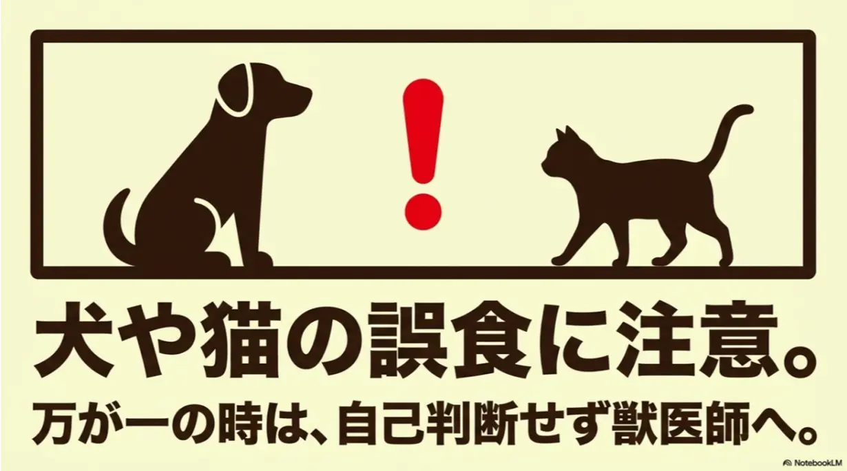 犬や猫の誤食に注意し、万が一の時は自己判断せず獣医師へ