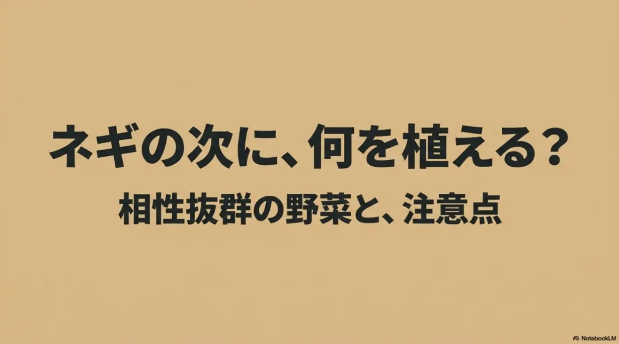 ネギの後作に何を植える?相性抜群の野菜と注意点
