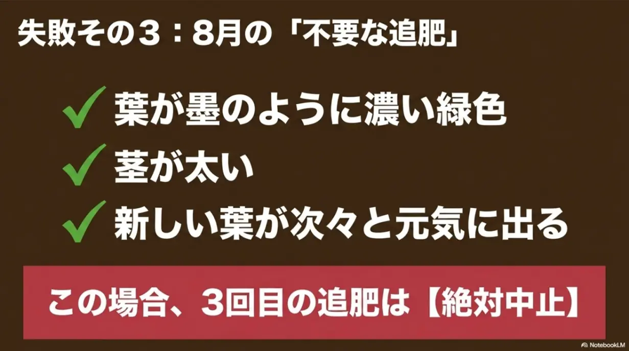 失敗その3：8月の「不要な追肥」。葉が墨のように濃い緑色、茎が太い、新しい葉が次々と元気に出る場合、3回目の追肥は絶対中止と書かれた解説スライド画像